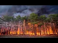 New Jersey s frontline heroes battling wildfire season to save life and property