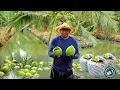Lagu SEE THE UNIQUE PACKAGING PROCESS OF THAILAND'S WORLD-FAMOUS YOUNG PANDAN COCONUTS