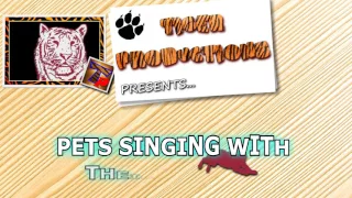 Download Kumpulan Anjing dan Kucing Menyanyi Lucu Bangettt MP3