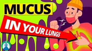 Download 7 Causes of Increased Mucus in Your Lungs (Clearing Congestion) MP3