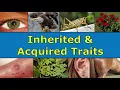 Inherited Acquired Traits
