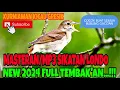 Download Lagu MASTERAN/MP3 SIKATAN LONDO,NEW 2024 FULL TEMBAK'AN..!!!#sikatanlondo#kurniawankicaugresik#mp3burung