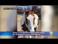 Parker County Sheriff s Offering 5000 Reward For Information In Deadly Horse Shooting