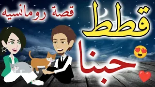 اخضر تبرعات 