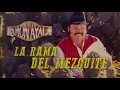 Ramon Ayala - La Rama Del Mezquite (Video Lyric Oficial)