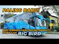 PALING BARU!! BUS PARIWISATA JETBUS 5 BIG BIRD - FOOTAGE 2024