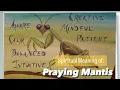 Praying Mantis Spiritual Meaning