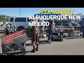 Morning Walk Around Flea Market cheap Albuquerque New Mexico usa