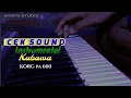 Download Lagu CEK SOUND INSTRUMENTAL LAGU KUBAWA - KORG PA 600