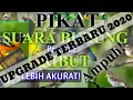 Download Lagu SUARA BURUNG RIBUT PART #02 || The sound of a bird of prey is very powerful 2020 NEW