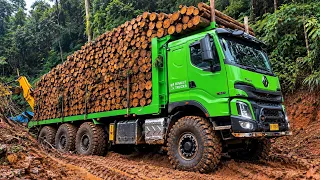 The Most Extreme Logging Truck vs. Impossible Jungle Mud