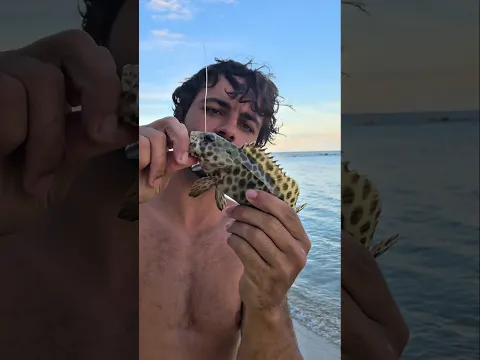 Criaturas más Raras del Mar ! 🌊🩸