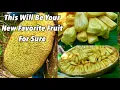 Download Lagu Jackfruit | Langka | Nangka