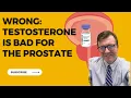 Testosterone In Urology Does It Make the Prostate Grow