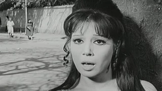 فيلم ذئاب على الطريق 