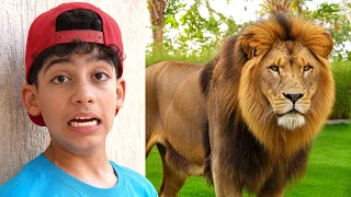Jason Learns Wild Animals Adventure for Kids and Family