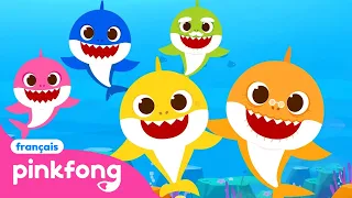 🦈 Plonge dans l'Univers Baby Shark ! | +Comptines | Education | Bébé Requin ! Chansons pour Enfants