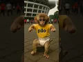 Download Lagu anak monyet lucu #ai #like #funny #monyet #monyetlucu #monyetviral #subscribe