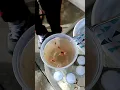 Sushi and Ganga