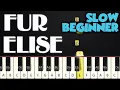 Download Lagu Fur Elise - Beethoven | SLOW BEGINNER PIANO TUTORIAL + SHEET MUSIC by Betacustic