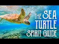 Sea Turtle Spirit Guide - Ask the Spirit Guides Oracle Totem Animal Power Animal Magical Crafting