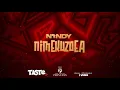Nandy - Nimekuzoea (Lyrics Video)