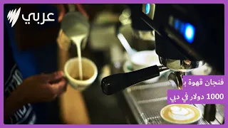 هل هذا أغلى فنجان قهوة في العالم  دندنها