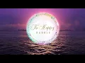 Download Lagu The Happy Bubble!