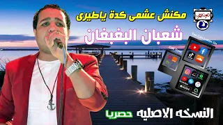 شعبان البغبغان مكنش عشمى كدة ياطيرى 