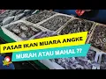 Download Lagu PENGALAMAN BELI IKAN DI PASAR IKAN MUARA ANGKE