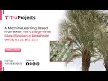 A Machine Learning Based Framework for a Stage Wise Classification of Date Palm White Scale Disease