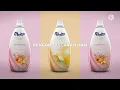 Download Lagu Iklan Molto Softener 2019