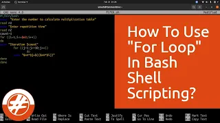 029 - Shell Scripting How To Use For Loop With 7 Examples