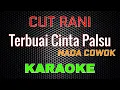 Download Lagu Cut Rani - Terbuai Cinta Palsu [Karaoke] NADA COWOK | LMusical