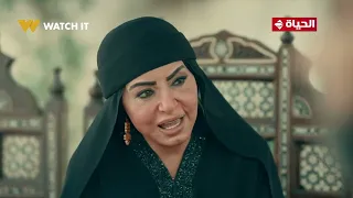 حكيم باشا  غراب وواصل شالوا الطين بعد ما عرفوا حقيقتهم في عيون حكيم   وتد الصعيد هيدوس على أي شديد   دندنها