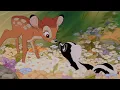 Clairo - Bambi A