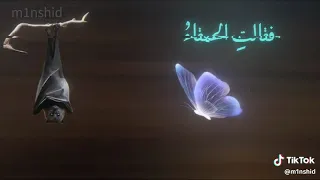 مرت على الخفاشي مليكة الفراشي كامله     دندنها