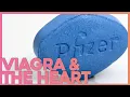 Download Lagu The Unexpected Link Between Erectile Dysfunction, Viagra \u0026 the Heart (ft Medlife Crisis) | Corporis