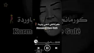 أغنية كرديه مشهورة ترند كورمانجي هارا كولي        أغاني كردية  أغاني مترجمة  اكسبلور  تصميم فيديوهات دندنها
