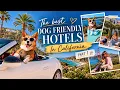 1 HOTEL SAN FRANCISCO RITZ CARLTON HALF MOON BAY The best Dog-Friendly Hotels in California Pt