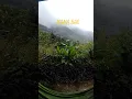 Download Lagu Best Homestay At Sapa || Mama Bae || MamaBae Sapa Stay