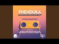 Download Lagu Phenduka (Dj Conflict Ever After Remix)