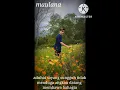 Download Lagu karena Budi aku jatuh hati spring cover Alan