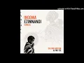 IZINGOMA EZIMNANDI Motion culture Ft Pro tee 
