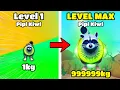 Download Lagu From Tiny to GIANT Pipi Kiwi 99999KG in Brainrot Evolution (Roblox)