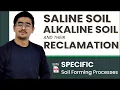Specific soil Forming Process - Salinization Alkalization Solodization