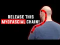 Neck Shoulder Pain Release This Myofascial Chain