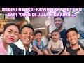 Download Lagu BEGINI REAKSI KEVIN SAAT KETEMU SAPI  YANG DI JUAL KEMARIN