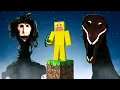 Download Lagu We Played ONE BLOCK With Horror Mods in Minecraft