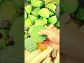 Download Lagu Buah unik langka bernama bunga teratai dan bisa jadi buah seroja #shorts